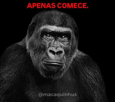 Tela inicial dos Erickmons